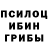 Псилоцибиновые грибы мицелий deg msp
