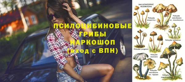 твердый Вязники