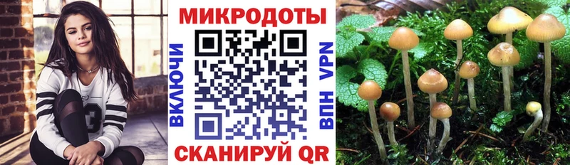 Купить закладки  Волосово  Галлюциногенные грибы Cubensis 