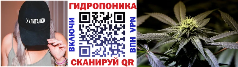 Бошки марихуана план  Купить закладки  Волосово 